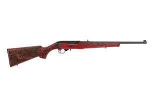 Ruger 1022 rifle features a dragon engraved stock